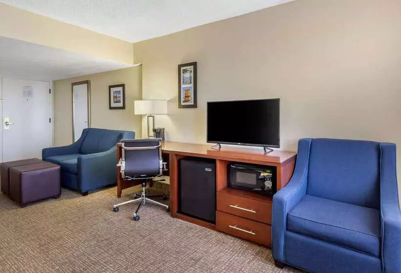 酒店 Comfort Inn St Petersburg North