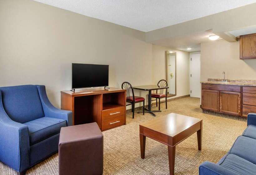 호텔 Comfort Inn St Petersburg North