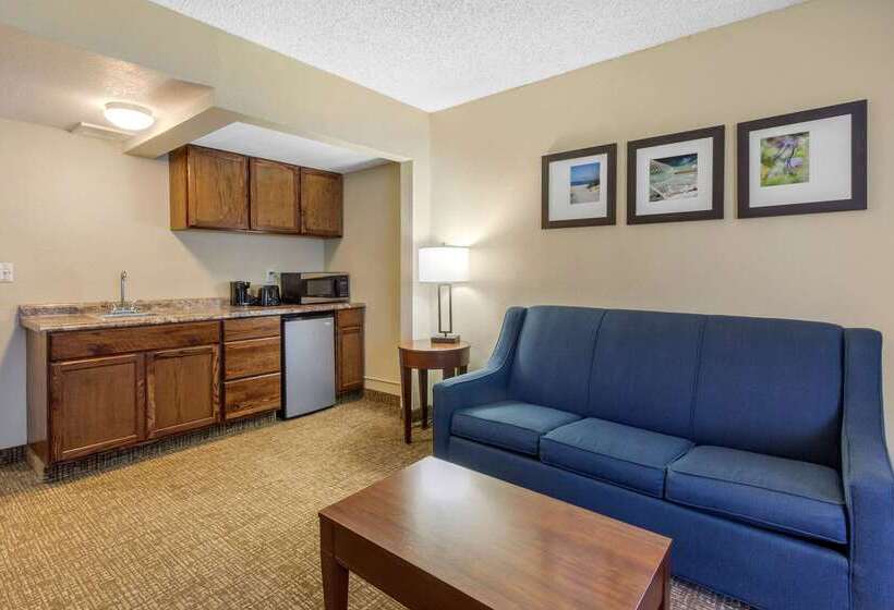 호텔 Comfort Inn St Petersburg North