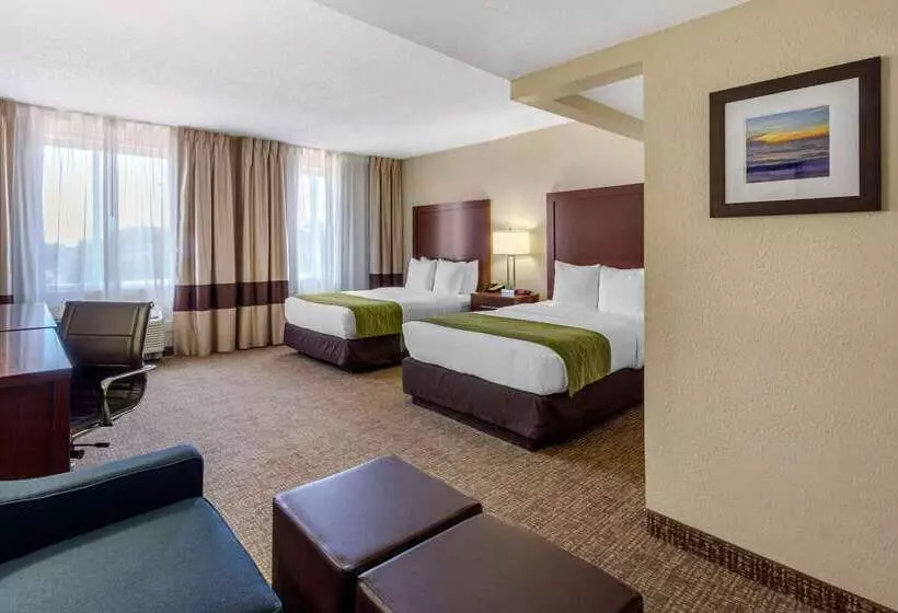 酒店 Comfort Inn St Petersburg North