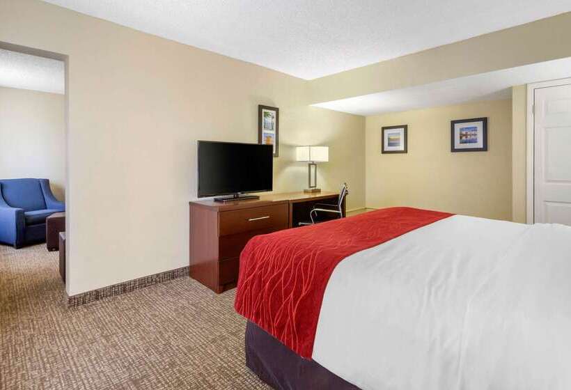 호텔 Comfort Inn St Petersburg North