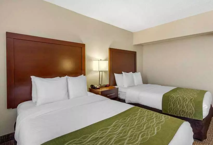 酒店 Comfort Inn St Petersburg North