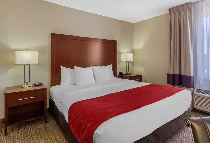 酒店 Comfort Inn St Petersburg North