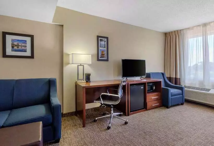 酒店 Comfort Inn St Petersburg North