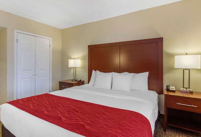 호텔 Comfort Inn St Petersburg North