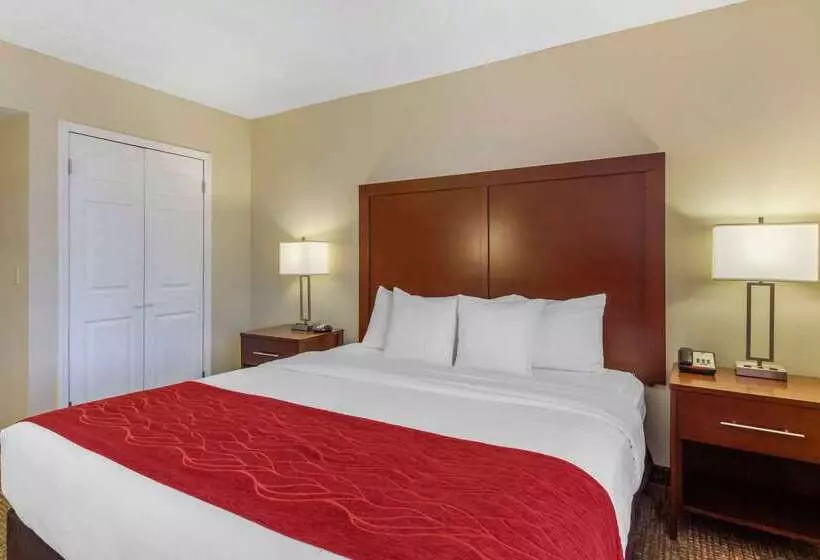 酒店 Comfort Inn St Petersburg North