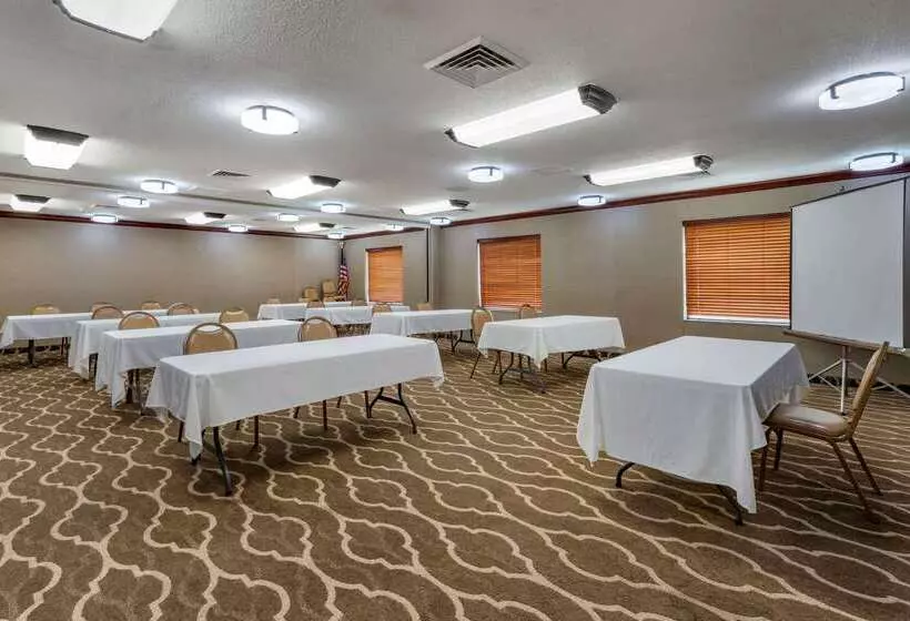酒店 Comfort Inn & Suites St. Louiso Fallon