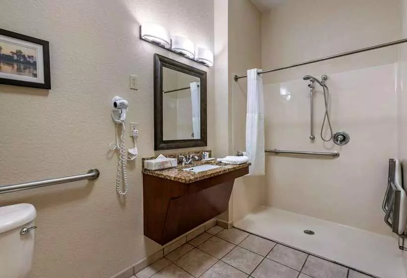 酒店 Comfort Inn & Suites St. Louiso Fallon