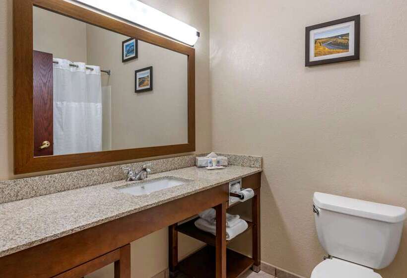 Отель Comfort Inn & Suites St. Louiso Fallon