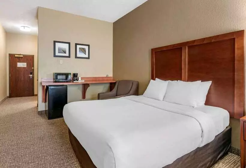 酒店 Comfort Inn & Suites St. Louiso Fallon