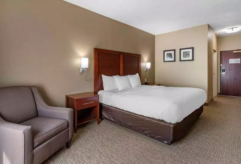 酒店 Comfort Inn & Suites St. Louiso Fallon