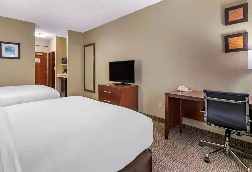酒店 Comfort Inn & Suites St. Louiso Fallon
