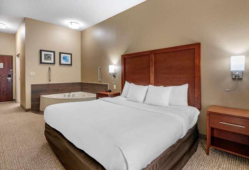 Отель Comfort Inn & Suites St. Louiso Fallon