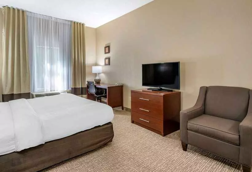 酒店 Comfort Inn & Suites St. Louiso Fallon