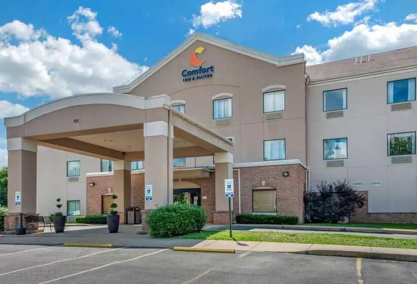 酒店 Comfort Inn & Suites St. Louiso Fallon