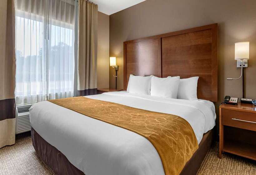 ホテル Comfort Suites Coralville I80