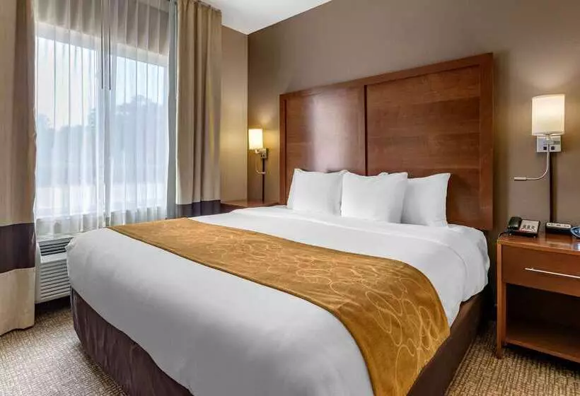 ホテル Comfort Suites Coralville I80