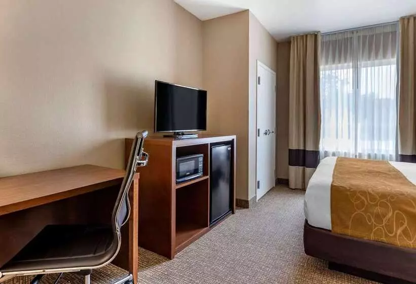 ホテル Comfort Suites Coralville I80
