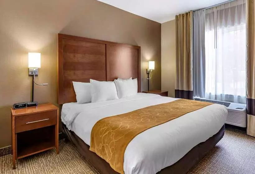 ホテル Comfort Suites Coralville I80