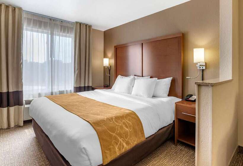 ホテル Comfort Suites Coralville I80