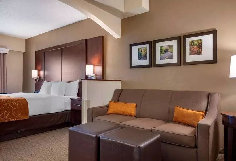 هتل Comfort Suites Near Penn State