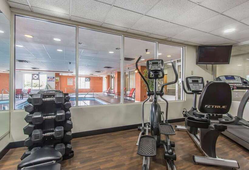 ホテル Comfort Suites