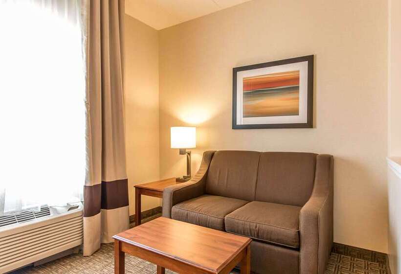 ホテル Comfort Suites