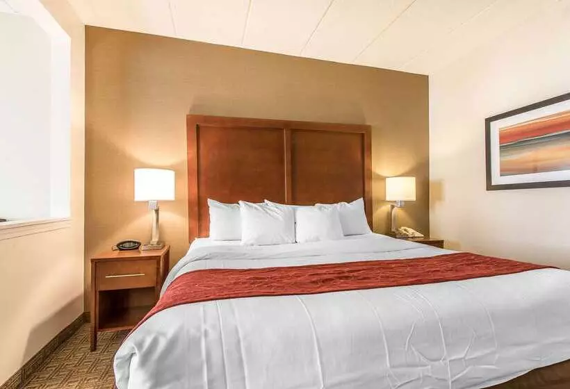 בית מלון כפרי Comfort Suites