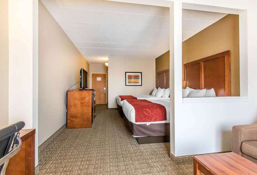 ホテル Comfort Suites