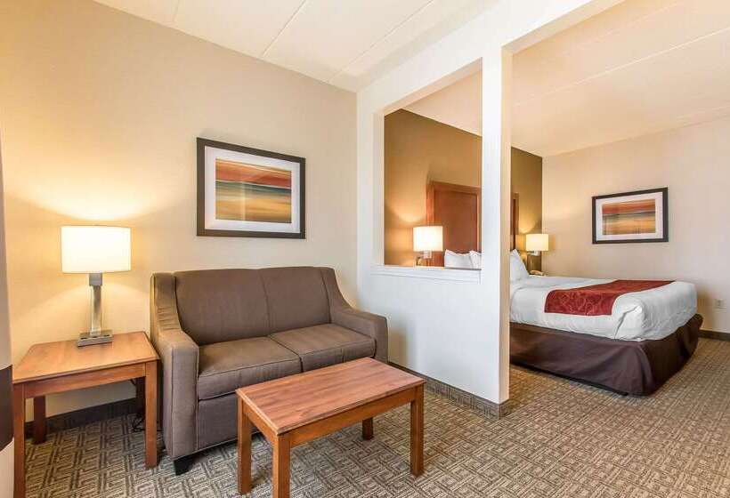 ホテル Comfort Suites