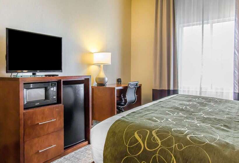 ホテル Comfort Suites