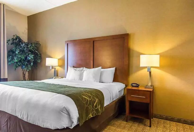 בית מלון כפרי Comfort Suites