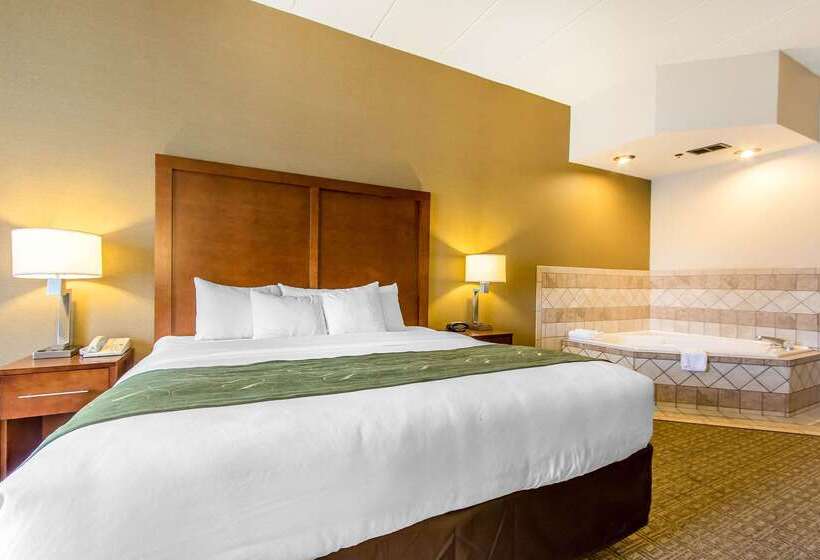 ホテル Comfort Suites