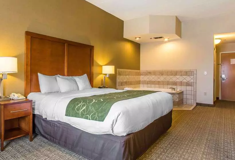 בית מלון כפרי Comfort Suites