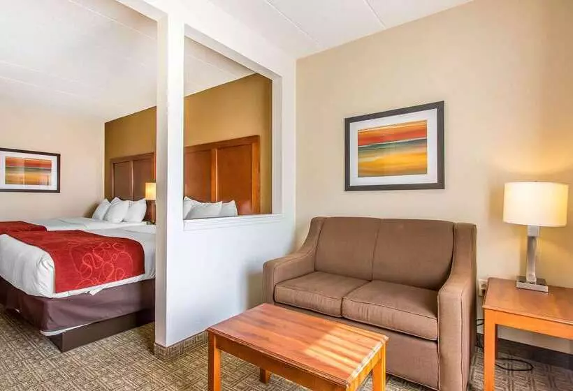 בית מלון כפרי Comfort Suites