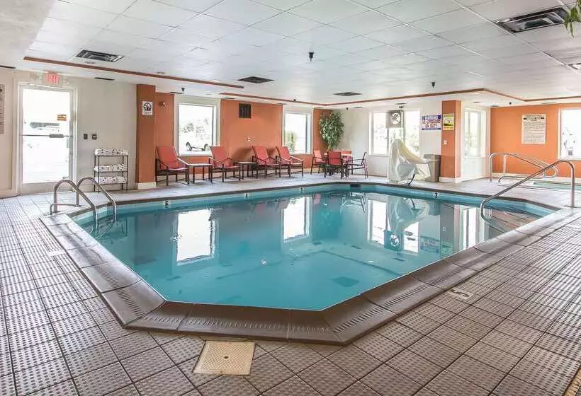 בית מלון כפרי Comfort Suites