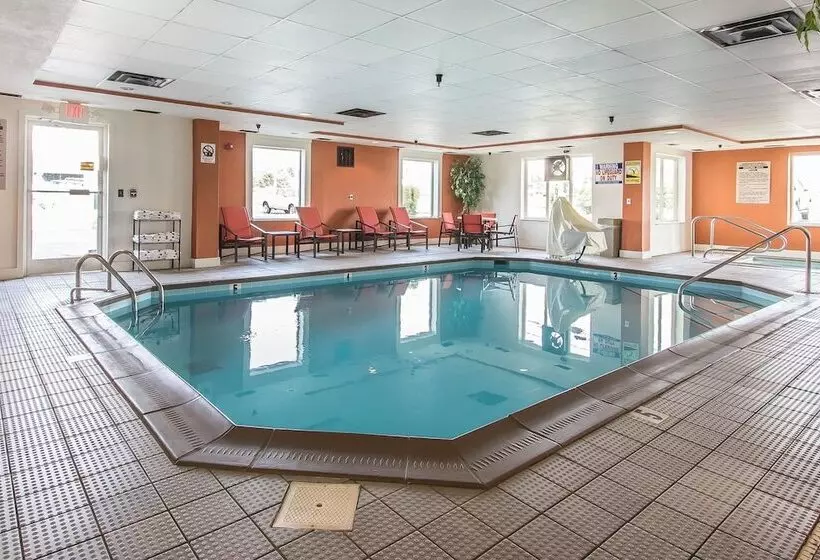 בית מלון כפרי Comfort Suites