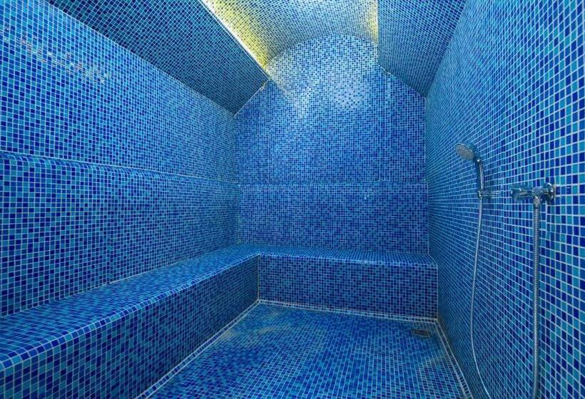 ホテル Crowne Plaza Istanbul Old City, An Ihg