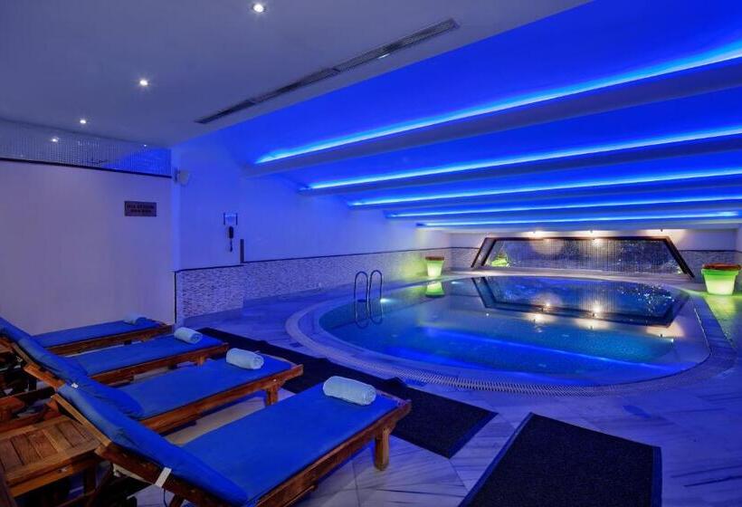 ホテル Crowne Plaza Istanbul Old City, An Ihg