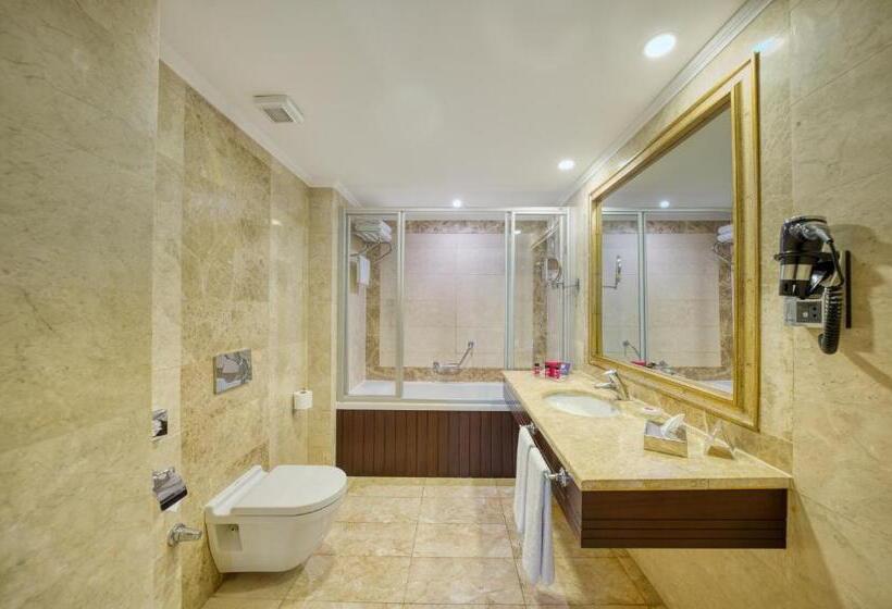 ホテル Crowne Plaza Istanbul Old City, An Ihg