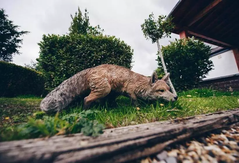 酒店 Fox Country Inn