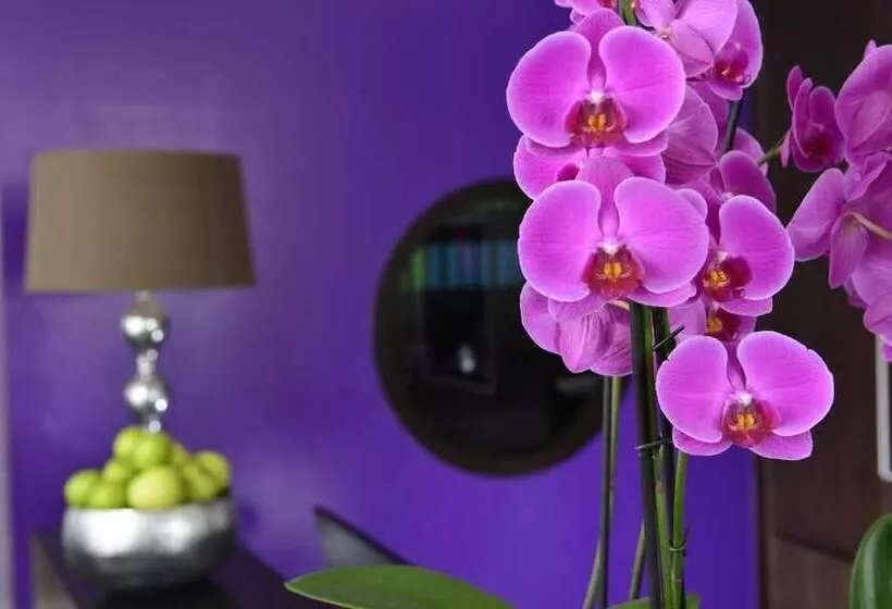 בית מלון כפרי Friends Huckelhoven