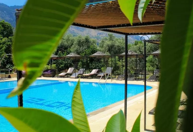 Отель Lapida Garden