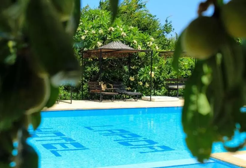 Отель Lapida Garden