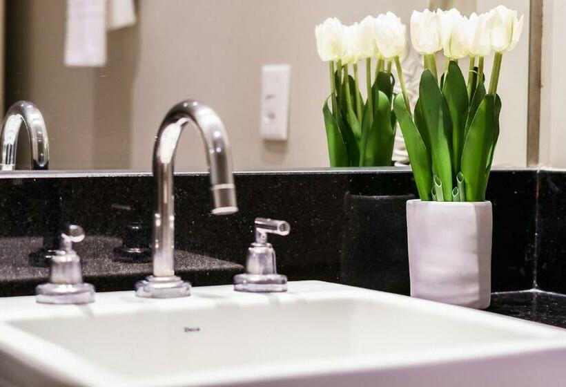 هتل Nacional Inn Porto Alegre   Próximo Ao Araújo Vianna E Ao Complexo Hospitalar Santa Casa