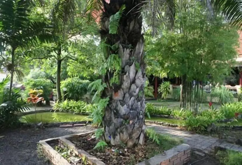 酒店 Pinnacle Wangmai Satun