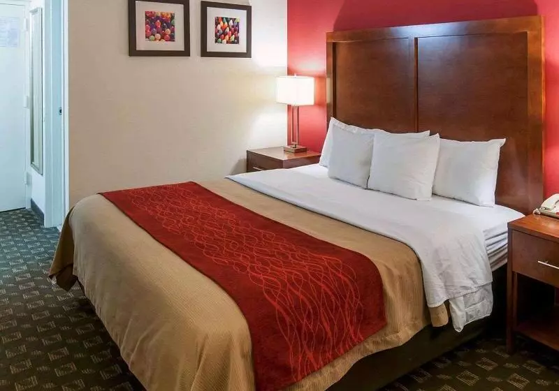 Отель Quality Inn