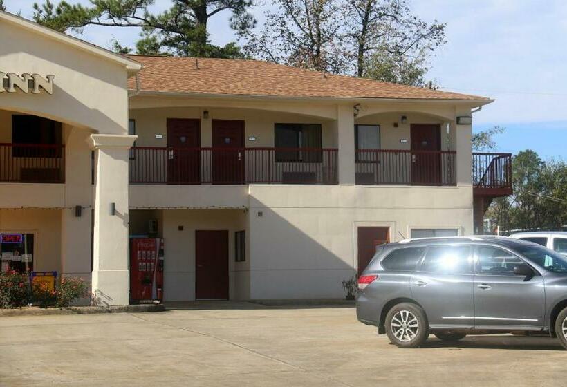 호스텔 King Star Inn