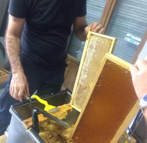 فندق Agriturismo Fattoria Santa Vittoria