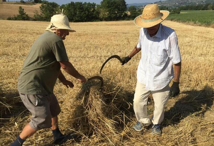 فندق Agriturismo Fattoria Santa Vittoria
